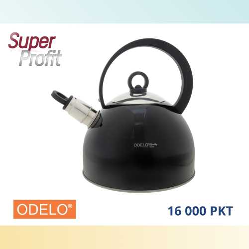 CZAJNIK MIRON CZARNY 